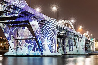 The animals of Cai Guo-Qiang’s Heritage 2013 drink from the Brisbane River in a special projection on the William Jolly Bridge