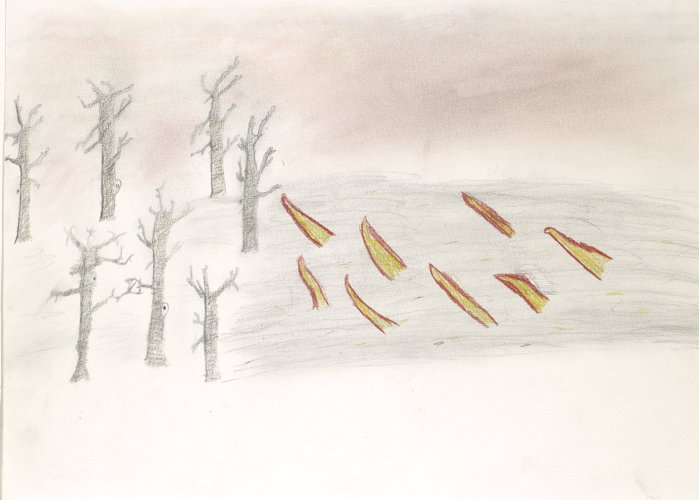 My fire drawing represents the bushfire coming to burn down the trees.