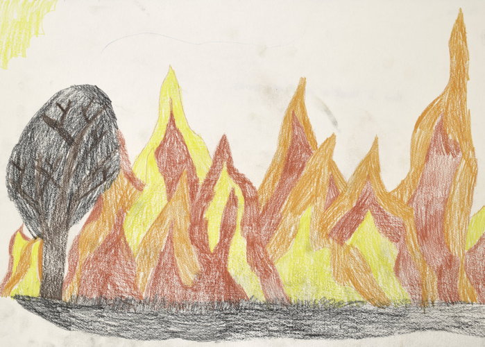 How I think a bushfire looks.