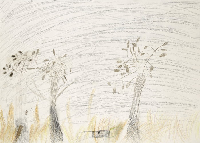 This drawing is about a bushfire burning all the trees down. The leaves are turning brown form the heat.