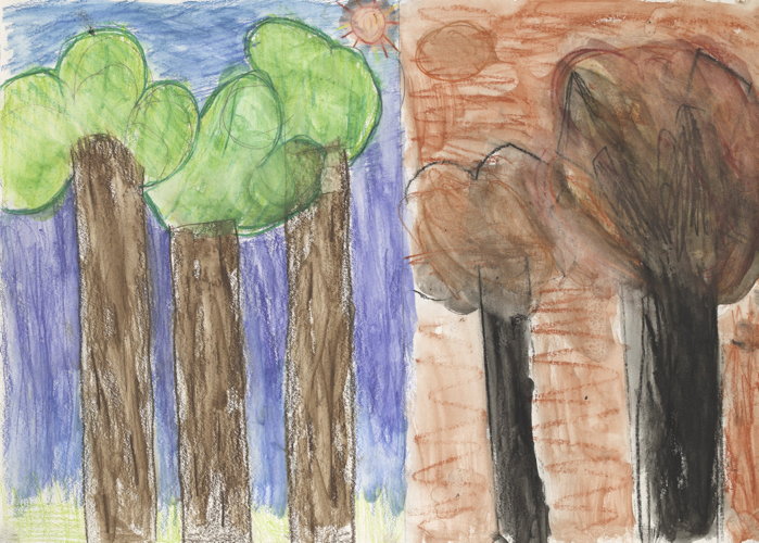 My art work is about before and after the bush fires, how it was nice and green, then all brown.