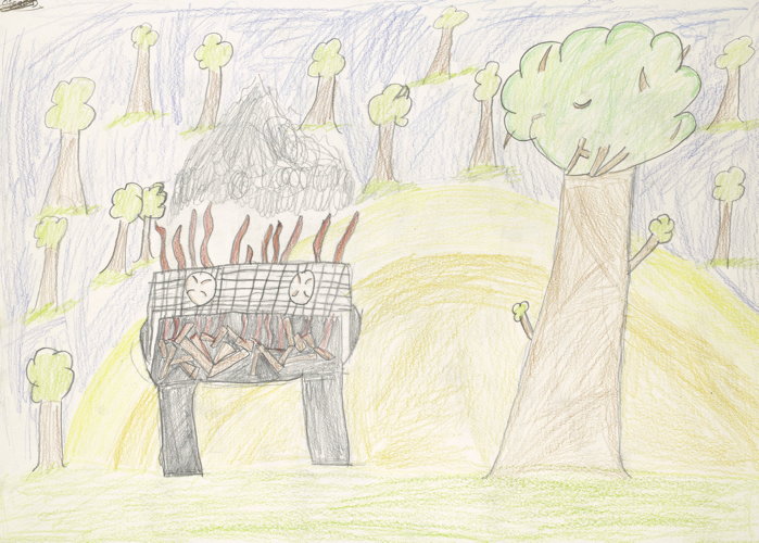 My drawing is about how I cook damper with my family and how I love being outside and camping.