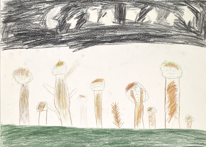 This drawing was the bushfires in 2019 and 2020.